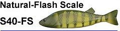 Bear Creek 8" Perch Spearing Decoy Natural Flash Scale (Includes 1 Decoy) S40-FS