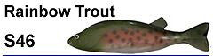 Bear Creek 8" Perch Spearing Decoy Rainbow Trout (Includes 1 Decoy) S46
