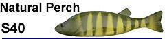 Bear Creek 8" Perch Spearing Decoy Natural Perch (Includes 1 Decoy) S40